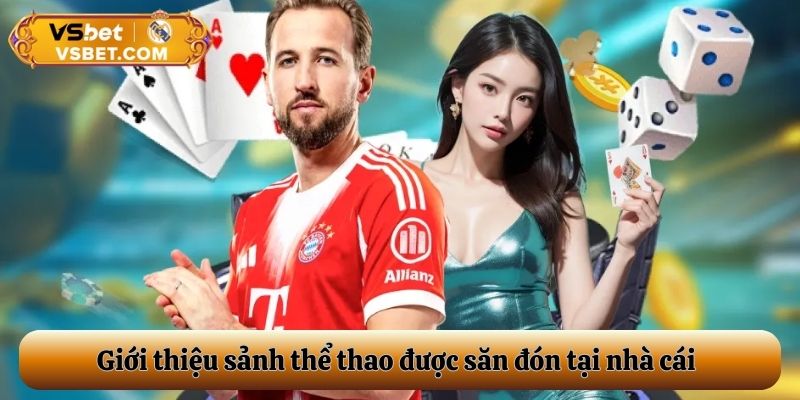 Giới thiệu sảnh thể thao được săn đón tại nhà cái
